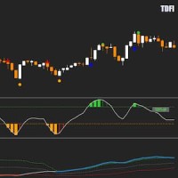 TDFI